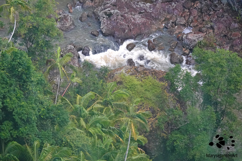 Kondalilla NP: Creek and Rainforest Lookout by Maryse Jansen