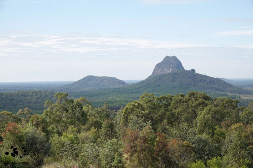Glass House Mountains: Glass House Trio by Maryse Jansen