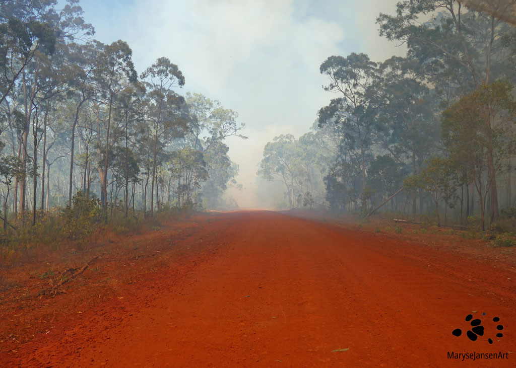 Outback Road Into Bushfire by Maryse Jansen