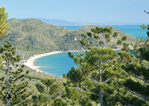 A Piece of Paradise on Magnetic Island by Maryse Jansen