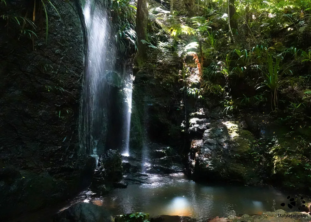 Wonders Of The Rainforest - Nagarigoon Falls by Maryse Jansen