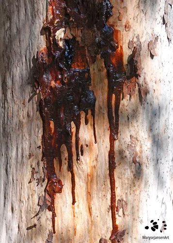 Bleeding Tree by Maryse Jansen