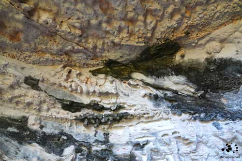 Dragon Cave Natural Mural in Cania Gorge by Maryse Jansen