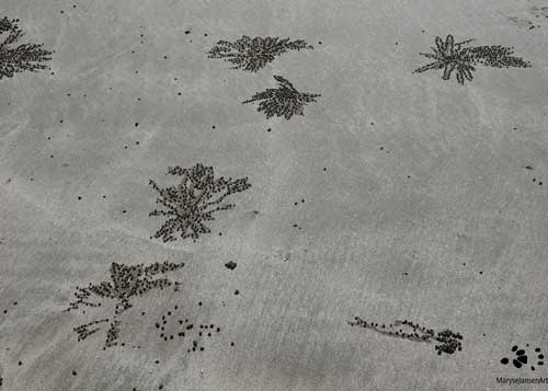 Sand Art Series - Crab Art-5 - Fireworks by Maryse Jansen