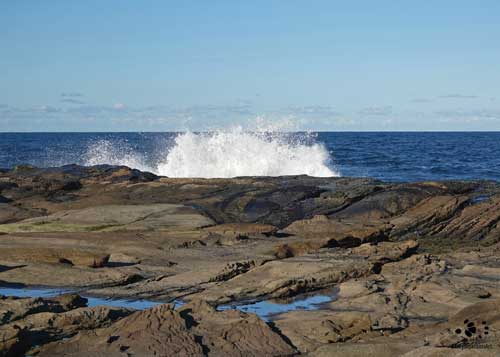 Crashing Wave Rugged Coasts Series Maryse Jansen Clear your head: Crashing Wave - Rugged Coasts Series by Maryse Jansen