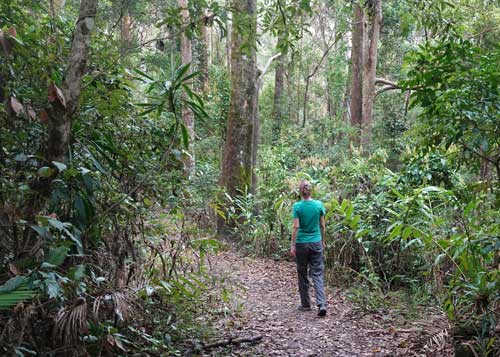 Maryse Walks in Rainforest